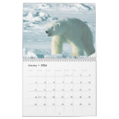 Polaire Beren - kalender van 12 maanden (Jan 2026)