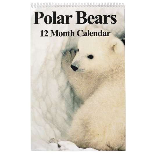Polaire Beren - kalender van 12 maanden (Hoes)