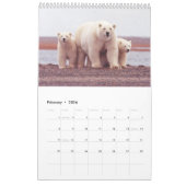 Polaire Beren - kalender van 12 maanden (Feb 2026)