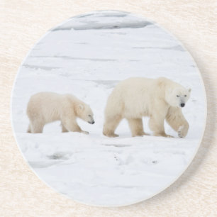 Polaire Beren vrouw en twee cubs Zandsteen Onderzetter