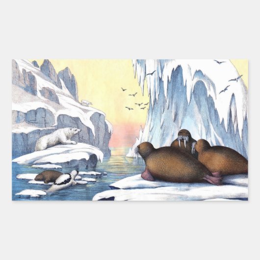 Polaire Beren, walrus en zeehonden Rechthoekige Sticker (Voorkant)