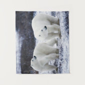 Polaire beren wandkleed (Voorkant)