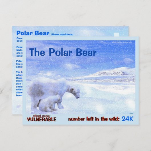 Polaire Beren zijn bedreigd, lees dit snel: Briefkaart (Voorkant / Achterkant)