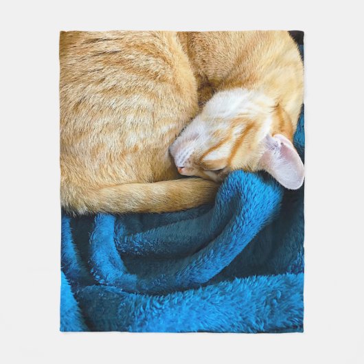 Polaire Chat orange recouvert d'une couverture bleue (Devant)