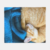 Polaire Chat orange recouvert d'une couverture bleue (Devant (Horizontal))