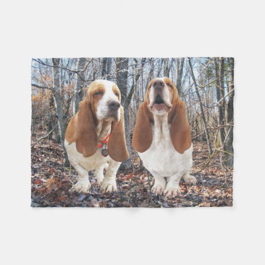 Polaire Chiens de Basset Hound dans la couverture (Devant (Horizontal))