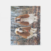 Polaire Chiens de Basset Hound dans la couverture (Devant)