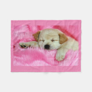 Polaire Chiot dormant sur la couverture rose d'ouatine