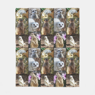 Polaire Collage Photo Meerkat, Couverture En Ceinture Moye