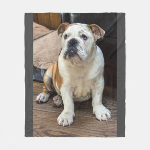 Polaire Couverture anglaise de bouledogue