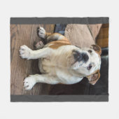 Polaire Couverture anglaise de bouledogue (Devant (Horizontal))
