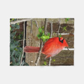 Polaire couverture cardinale d'ouatine (Devant (Horizontal))