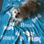 Polaire Couverture Dachshund turquoise sur mesure pour chi
