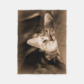 Polaire couverture de chat (Devant)