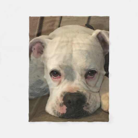 Polaire Couverture de chien (Devant)