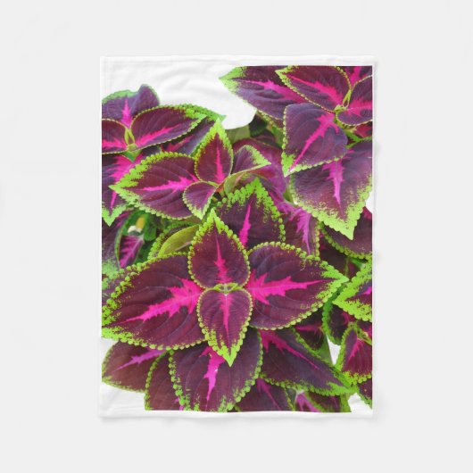 Polaire Couverture de feuilles de Coleus violet ADOM (Devant)