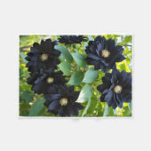 Polaire Couverture de jet ADOM Fleurs Noires Rares (Devant (Horizontal))