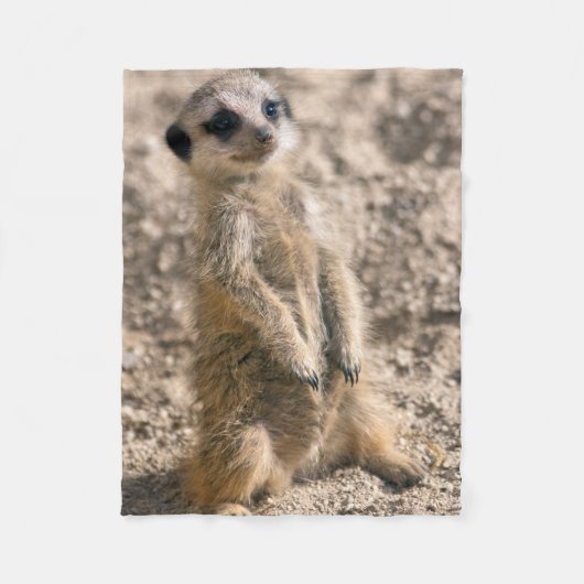 Polaire Couverture de la flotte de sentinelle (Devant)