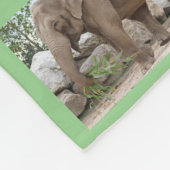 Polaire Couverture de la flotte d'éléphants (Coin)