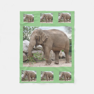 Polaire Couverture de la flotte d'éléphants