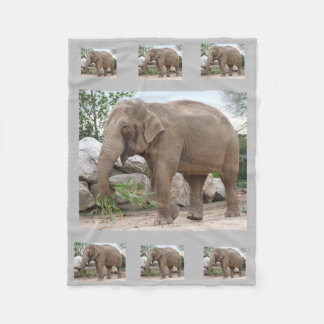 Polaire Couverture de la flotte d'éléphants