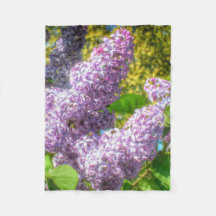 Couverture de lilas