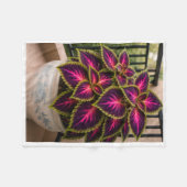 Polaire Couverture de plante de Coleus Violet ADOM (Devant (Horizontal))