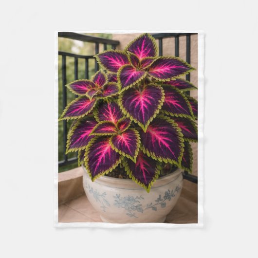 Polaire Couverture de plante de Coleus Violet ADOM (Devant)
