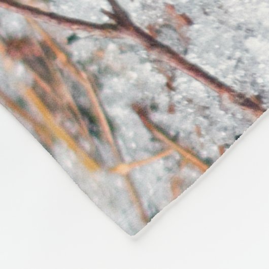 Polaire Couverture de Robin (Coin)