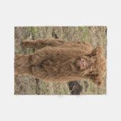 Polaire Couverture des montagnes écossaise de photographie (Devant (Horizontal))