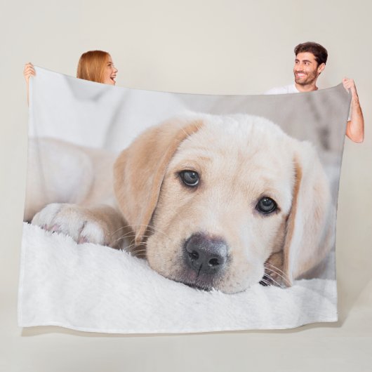 Polaire couverture d'or de Labrador de chiot (En situation)