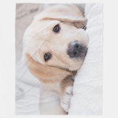 Polaire couverture d'or de Labrador de chiot (Devant)