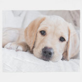 Polaire couverture d'or de Labrador de chiot (Devant (Horizontal))