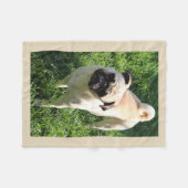 Polaire Couverture d'ouatine de carlin (Devant (Horizontal))