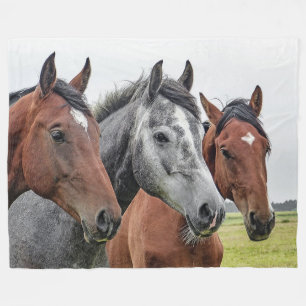 Polaire Couverture d'ouatine de chevaux