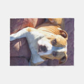 Polaire Couverture d'ouatine de chien de Pitbull (Devant (Horizontal))