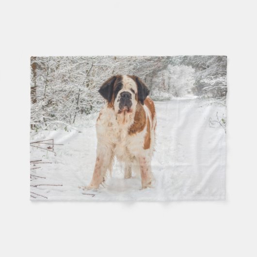 Polaire Couverture d'ouatine de chien de St Bernard (Devant (Horizontal))