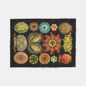 Polaire Couverture d'ouatine de Haeckel (Devant (Horizontal))