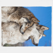 Polaire Couverture d'ouatine de loups (Devant (Horizontal))