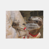 Polaire Couverture d'ouatine de partie de pyjama de chèvre (Devant (Horizontal))