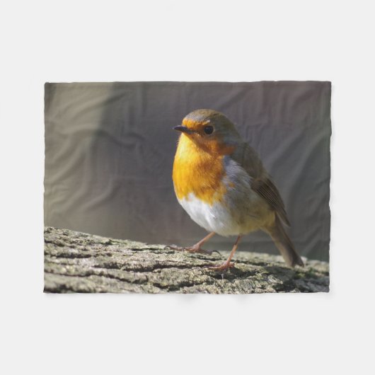 Polaire Couverture d'ouatine de Robin (Devant (Horizontal))