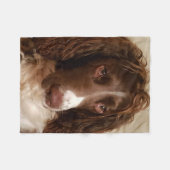 Polaire Couverture d'ouatine de springer spaniel (Devant (Horizontal))