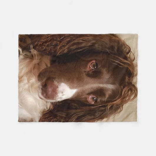 Polaire Couverture d'ouatine de springer spaniel (Devant (Horizontal))