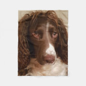Polaire Couverture d'ouatine de springer spaniel (Devant)