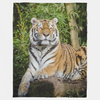 Polaire Couverture d'ouatine de tigre