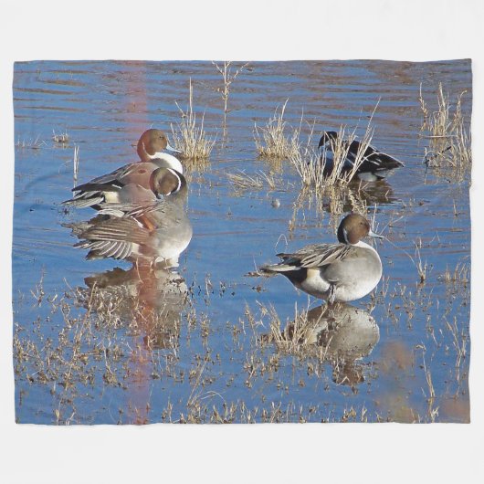 Polaire Couverture d'ouatine d'étang d'animaux de canards (Devant (Horizontal))