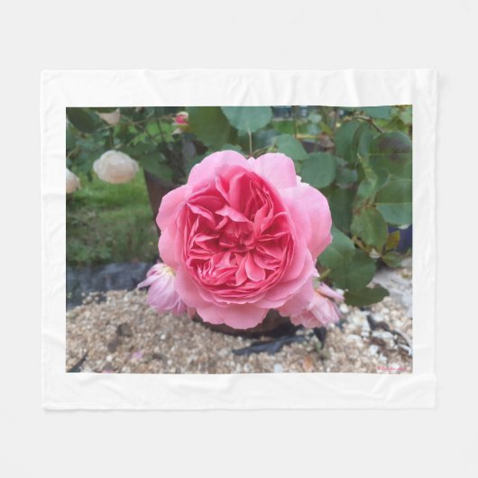 Polaire Couverture en molleton floral Rose de campagne ros (Devant (Horizontal))