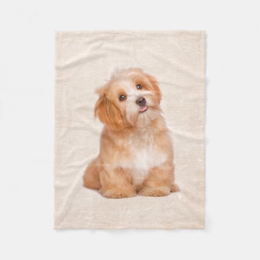 Polaire Couverture mignonne d'ouatine de chiot de Havanese (Devant)