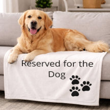 Couverture minimaliste réservée au chien