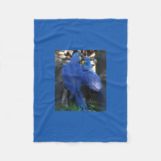 Polaire couverture _ perroquets